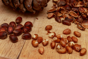 Kernels of cedar nuts, shells and cones of Siberian pine.