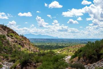 Fototapeta na wymiar Landscape Tucson Arizona