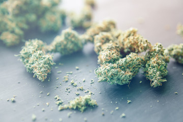 Macro of marijuana bud with trichomes With light tinted