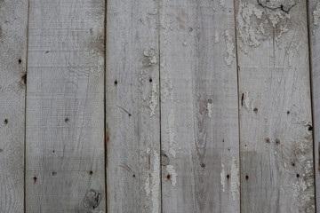 Texture planche de bois grises