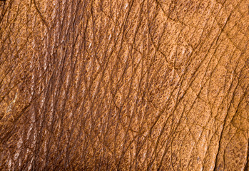 Old vintage genuine soft brown leather texture background, top layer with pores and scratches, macro, close-up