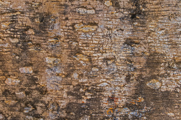 Facade walls concrete empty grunge background