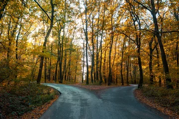 Fotobehang Bospad weg gaat twee kanten op in een prachtig herfstbos symbool van het nemen van een beslissing  © Bernadett