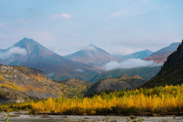 Beautiful fall / autumn color of trees and mountains in remote Alaska - 297424618