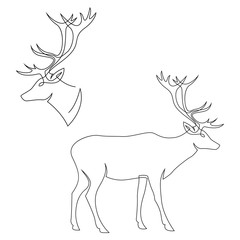 One line design silhouette of deer. Set of full height and head. Hand drawn single continuous line minimalism style vector illustration