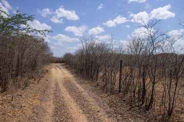 A dirty and drought road with blue sky and some white clouds in Queimada Nova, the interior of Piauí, Brazil