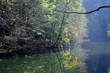 beautiful reflection on Yedigoller lake in Turkey