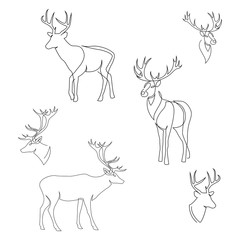 Fototapeta na wymiar One line design silhouette of deer. Set of full height and heads. Hand drawn single continuous line minimalism style vector illustration