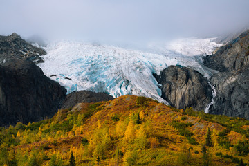 Huge Glacier above yellow and green treesin forest in autumn colors in Alaska