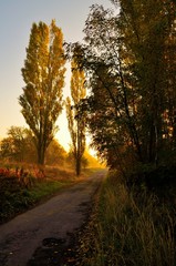 poranek © Piotr Łaskawski