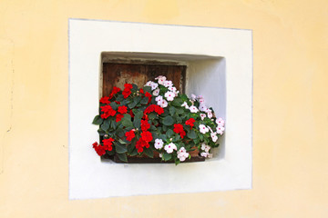 finestrella con fiori; Castel Trostburg presso Ponte Gardena (Bolzano)