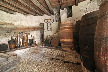 cantina con colossale torchio per la pigiatura; Castel Trostburg presso Ponte Gardena (Bolzano)