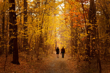 Two people go up the road among the autumn forest.