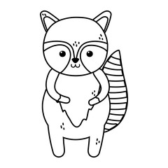 cute raccoon animal on white background thick line