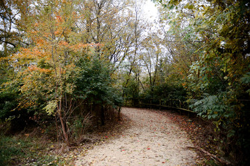 Fall path