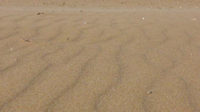 The movement of sand in the recess during a strong wind.