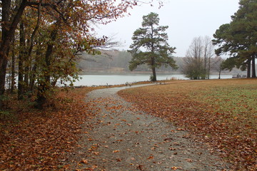 Beautiful color park during autumn/fall