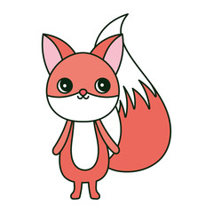 cute fox cartoon character on white background