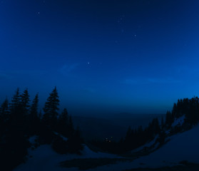 Fototapeta na wymiar night landscape with trees and full moon