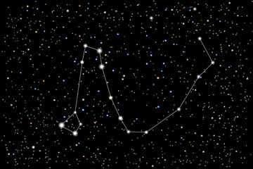 Vector illustration of the constellation  Draco (Dragon) on a starry black sky background. The astronomical cluster of stars in the constellation in the northern celestial hemisphere.  © dore art