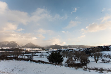 Fototapeta na wymiar paisaje montañoso cubierto de nieve y árboles en el invierno 
