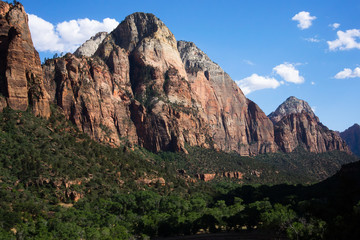 Camel-Shaped Cliffs at Zion