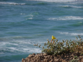 Obraz premium sea and blue sky