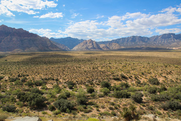 Fototapeta na wymiar Red Rock Canyon desert