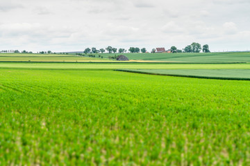 rural scenery in Hohenlohe