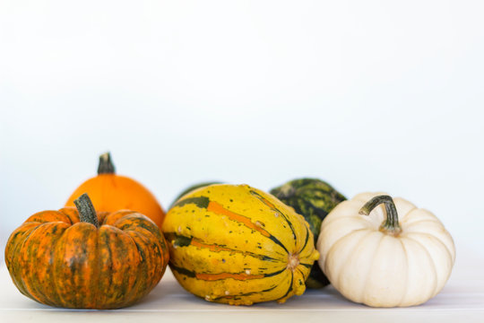 Assortment of pumpkins on white background with copy space