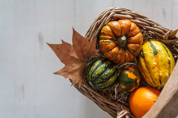 Basket with variety of pumpkins on rustic white table