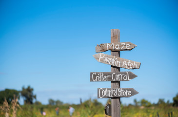 directional signpost in rural area with field and blue sky background, pumpkin patch sign with people in the background picking out pumpkins, fall season, halloween pumpkins