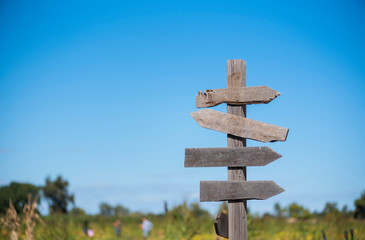 blank directional signpost in rural area with field and blue sky background, pumpkin patch sign with people in the background picking out pumpkins, fall season, halloween pumpkins, copyspace