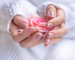 Winter french manicure with pink rose flower in woman's hands. Close up selective focus on female hands. Winter hand care concept © woodpencil