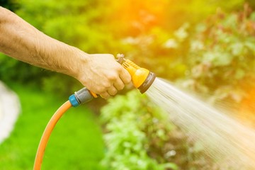 Watering green garden with outdoor hose