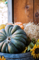 variety of gourds and pumpkins in wooden crates at pumpkin patch, crookneck winter squash varieties, group of autumn decorative gourd, fall decorations, copyspace, copy space