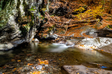 Mountain river in the forest 