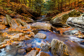 Mountain river in the forest 