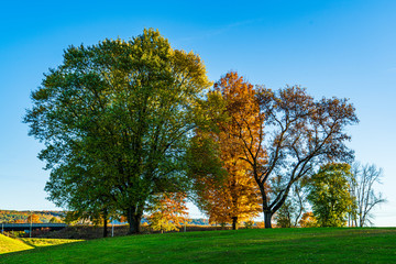 autumn in the park