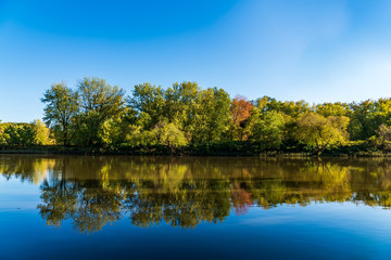 Fototapeta na wymiar Autumn Forest On The River