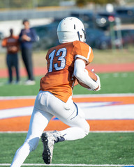 Great action photos of football players making amazing plays during a football game