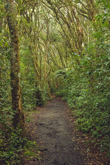 Walking around the Blue lake in Rotorua 