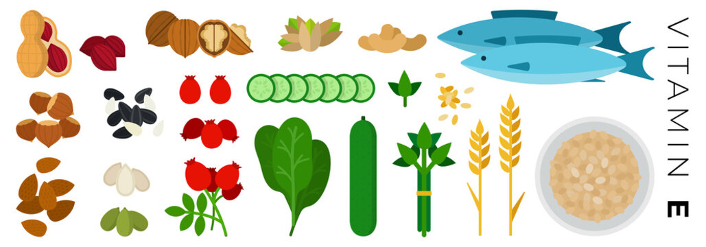 Vitamin E Foods Vector Flat Icons Set With Nuts, Fish.