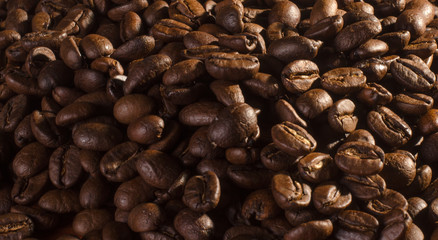 many freshly roasted coffee beans