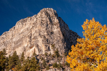 Cathedral Rock, Mt. Charleston, NV.