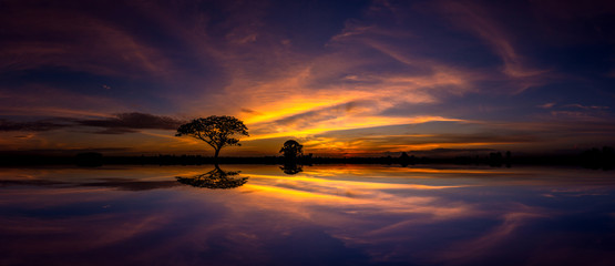 Panorama silhouette tree and Mountain with sunset.Tree silhouetted against a setting sun reflection...