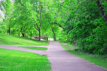 path in park