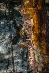 asado de cordero, comida típica argentina