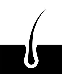 Hair skin Icon. Hair symbol vector EPS 10.