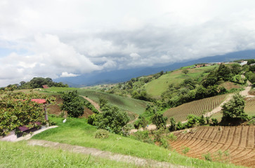 Fototapeta na wymiar rural landscape in tuscany